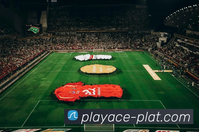 PA真人官网APP 封面图