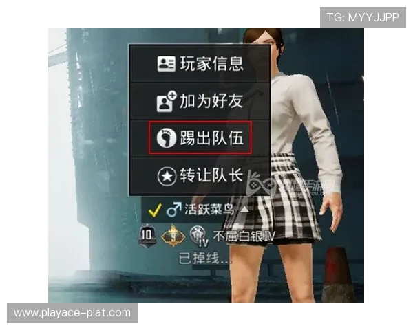 如何在游戏中快速找到队友共同开载具提高效率的方法